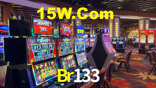 Br133 App Interface